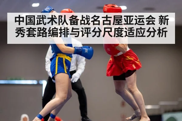 wushu martial arts competition